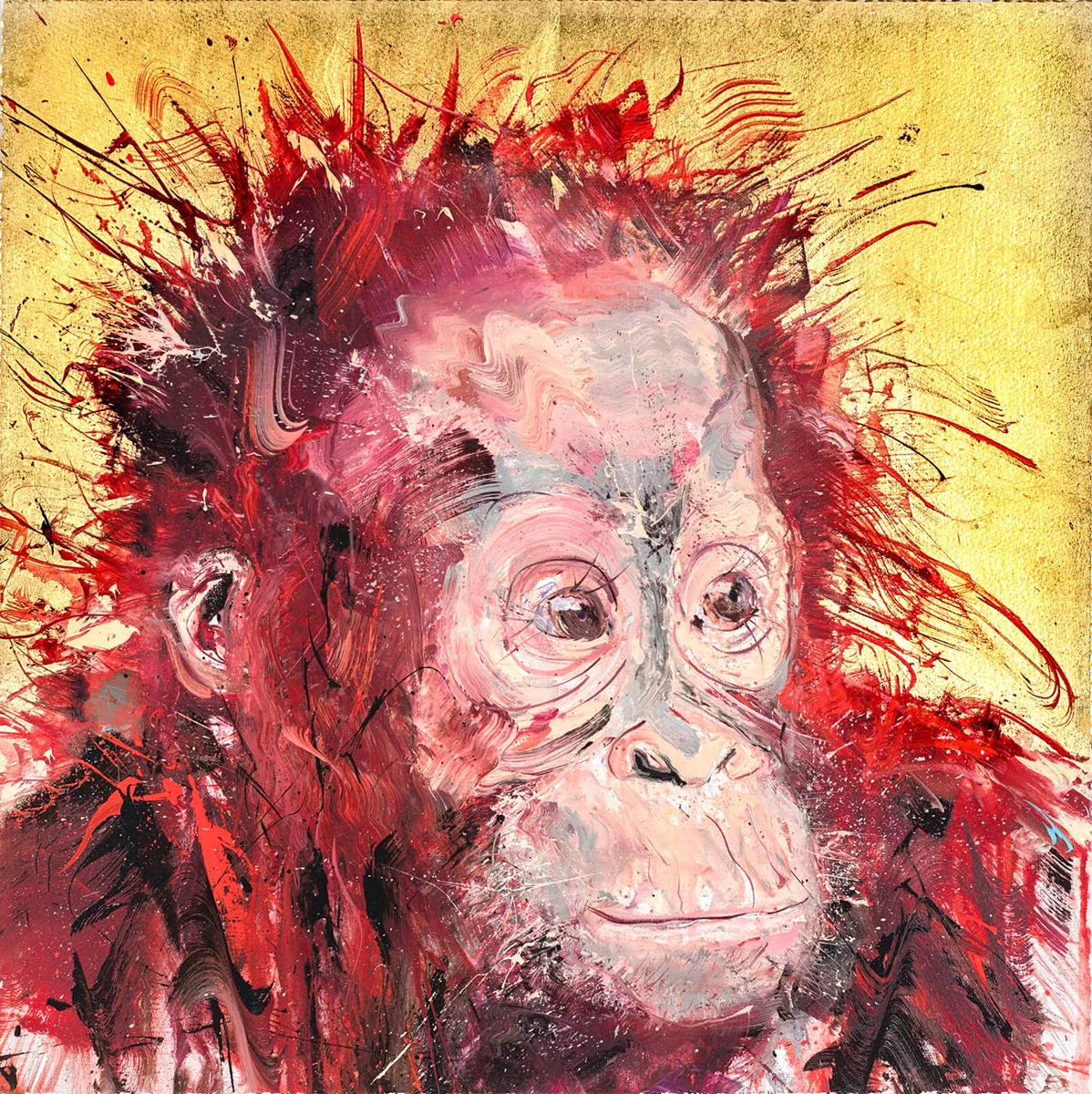 Baby Orangutan - Image 3