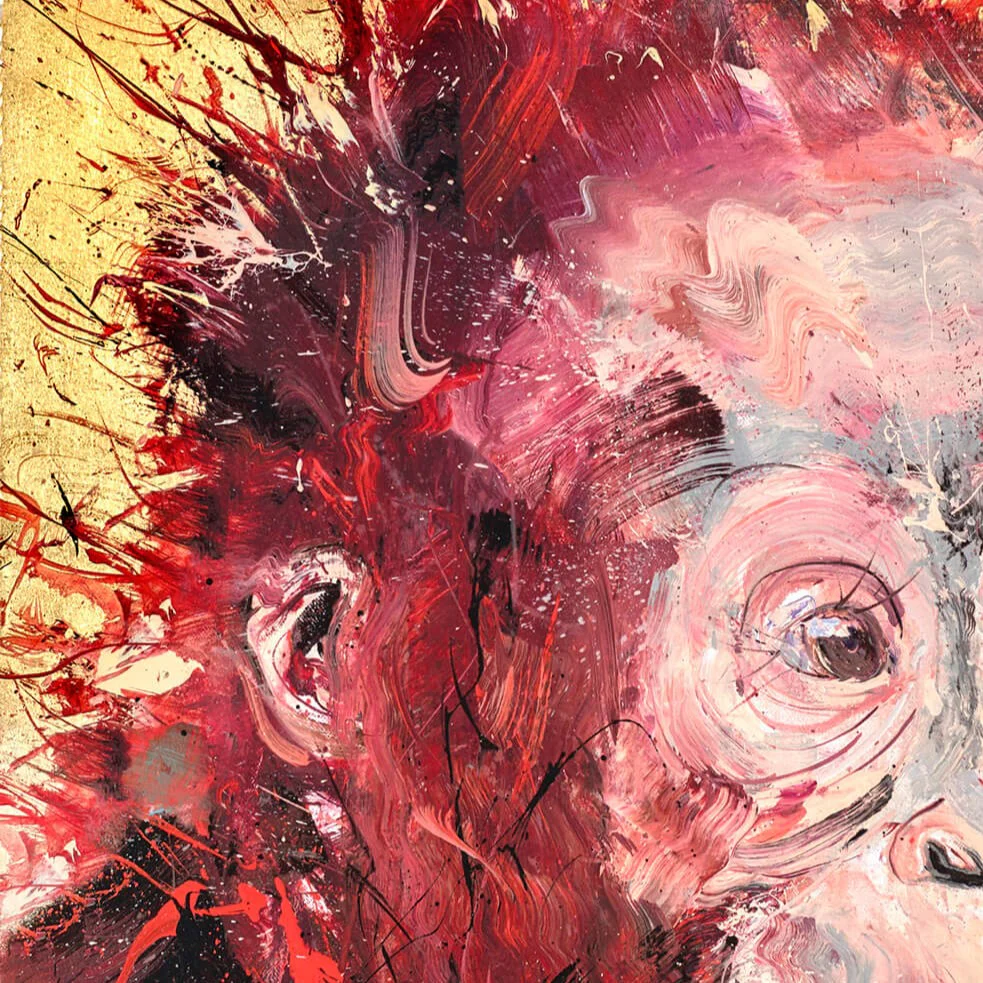 Baby Orangutan - Image 4