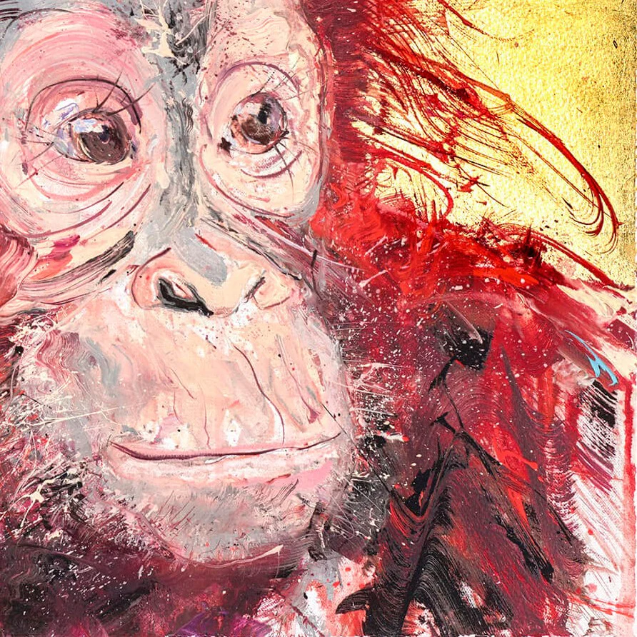 Baby Orangutan - Image 5