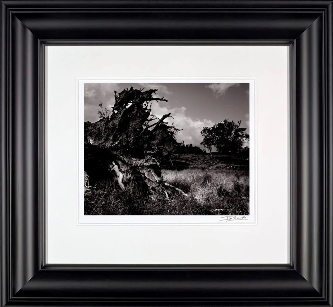 Becky In Uprooted Tree, 1984