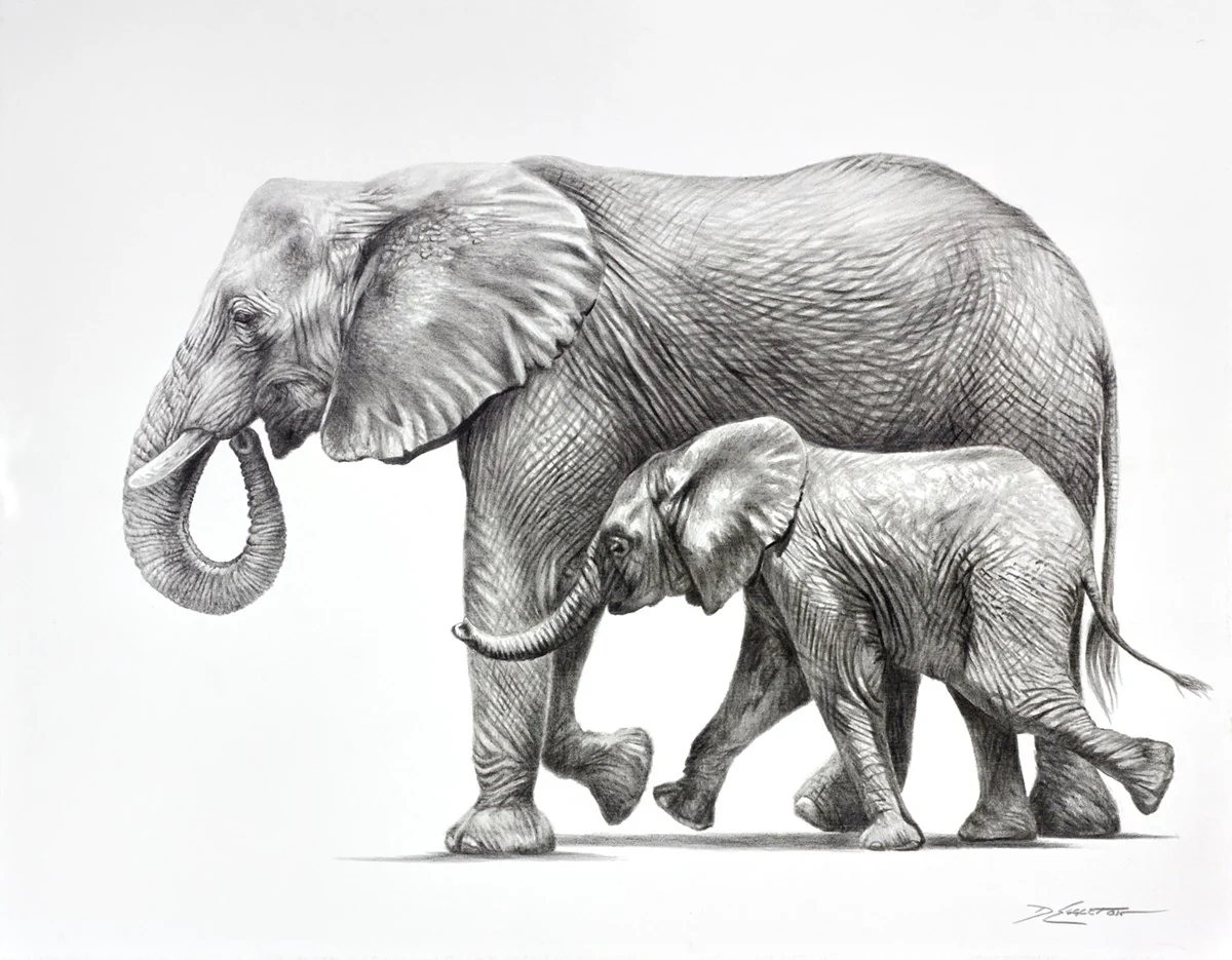 Elephants Happy Together