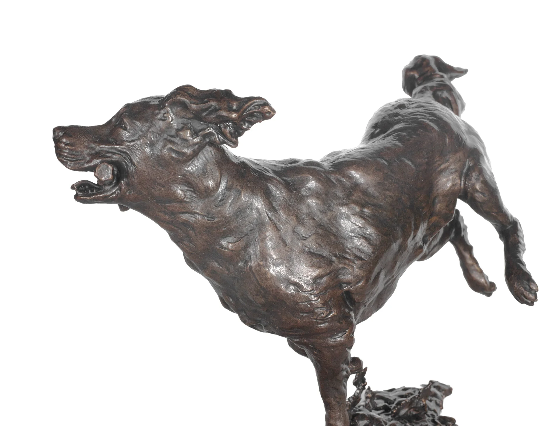 Free Spirit - Image 2