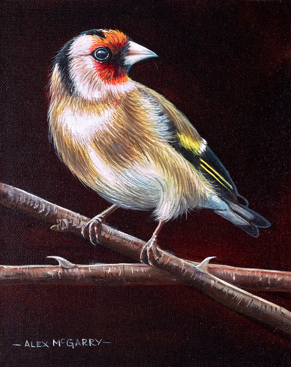 Goldfinch III - Image 2