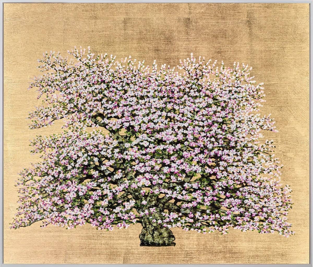 Napoleon Flowering Apple Blossom