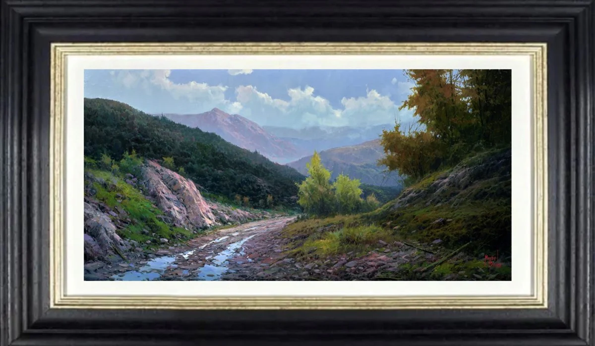 Paisaje De Pirineos