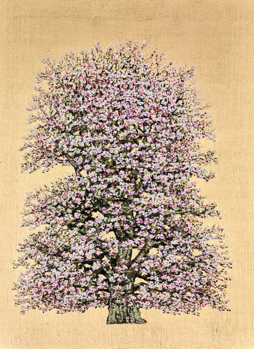 Penelope Flowering Damson Blossom - Image 2