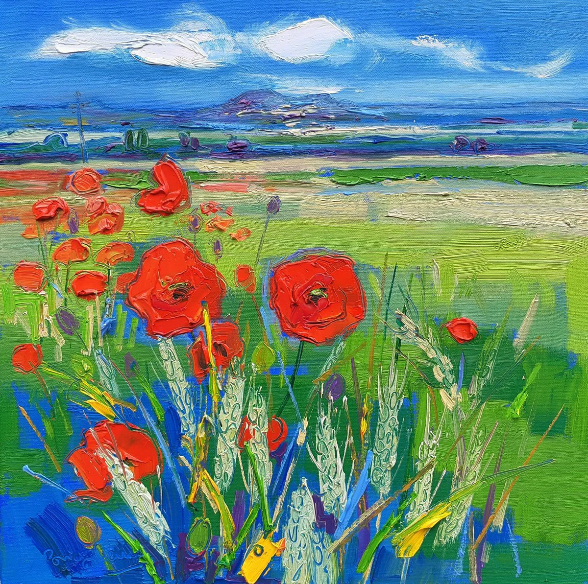 Poppies At Carberry