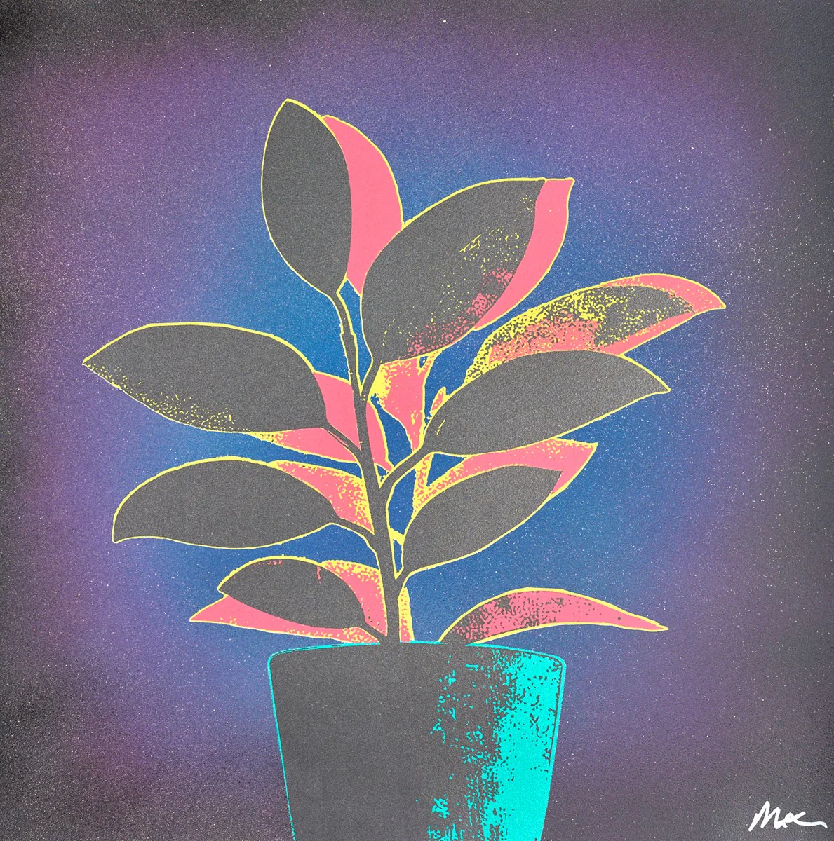 Ficus Fabulosa - Green/Blue