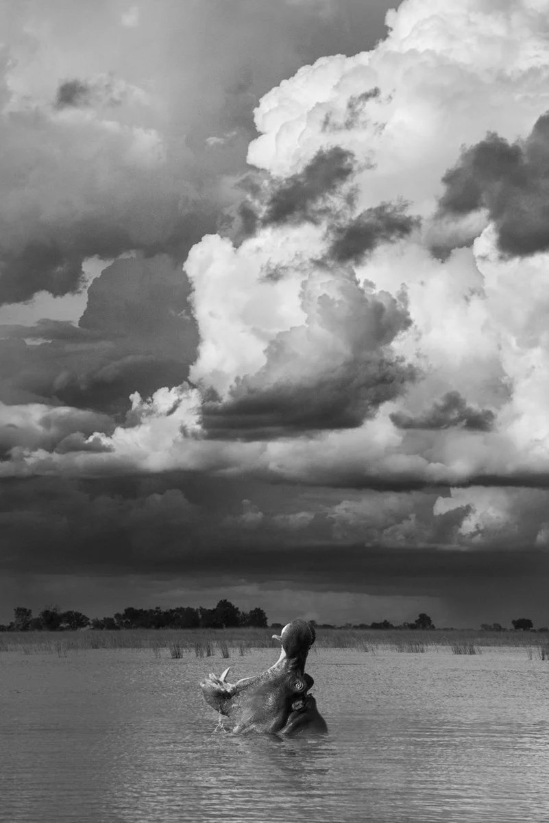 Shout At The Heavens - Image 2