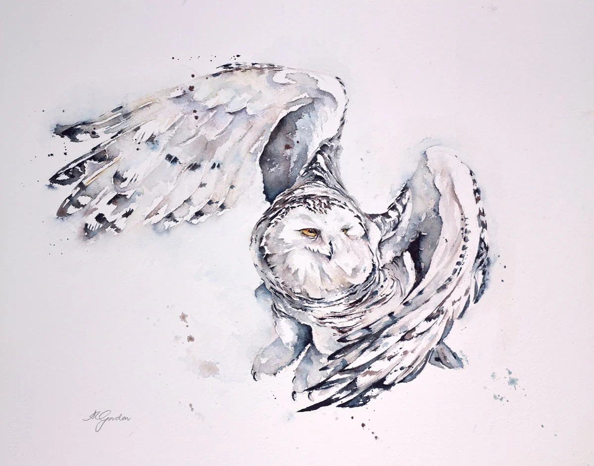 Snow Owl In Flight - Image 2